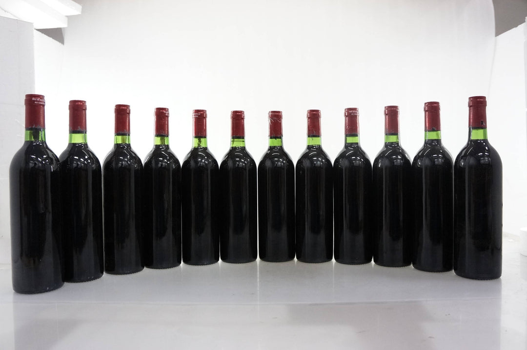 Petrus 1984