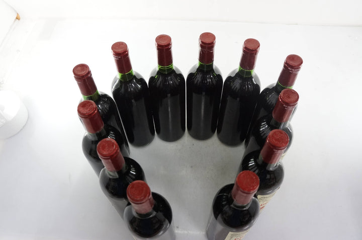 Petrus 1984