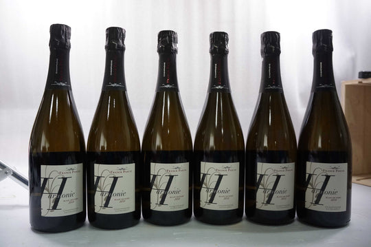 Franck Pascal Harmonie Blanc de Noirs Extra Brut 2010