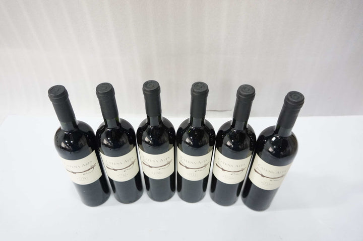 Catena Alta Malbec 2004