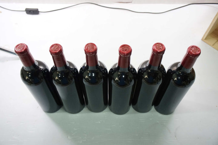 Petrus 2008