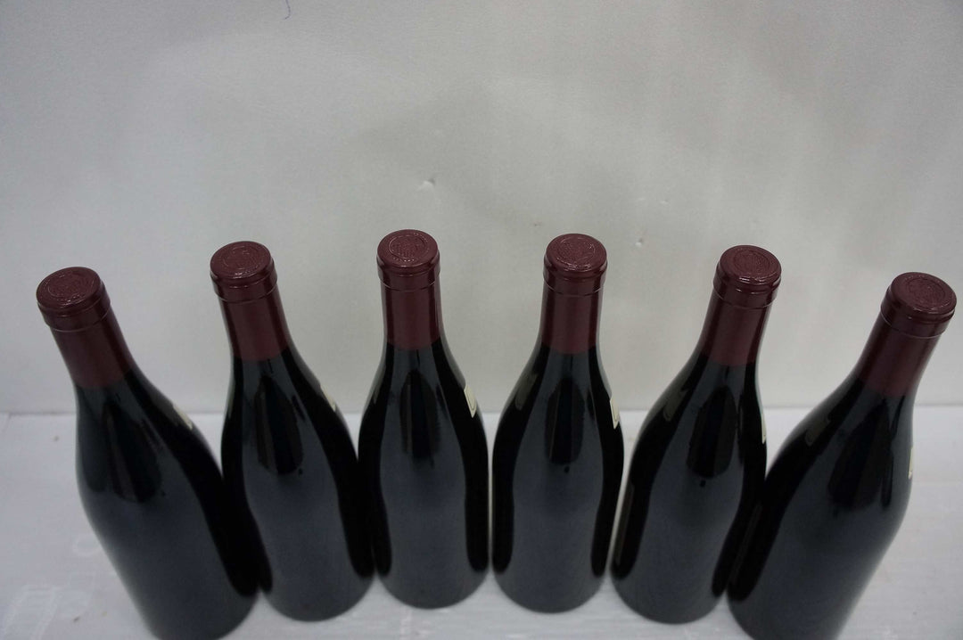 Hudelot Noellat Vosne Romanee Les Suchots 1er Cru 2010