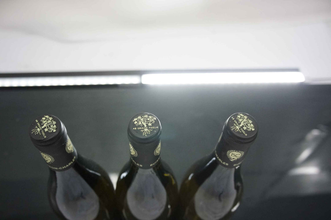 Buisson Charles Meursault Les Goutte d'Or 1er Cru 2011