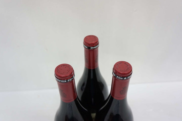Robert Groffier Chambertin Clos de Beze Grand Cru 2013