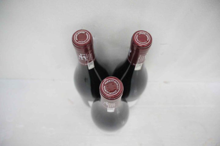 Perrot Minot Nuits St Georges Richemone 1er Cru Cuvee Ulta Rare 2016