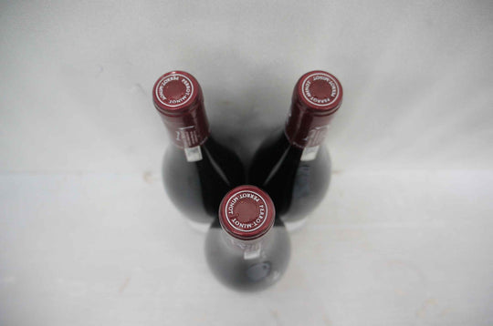 Perrot Minot Vosne Romanee 2016
