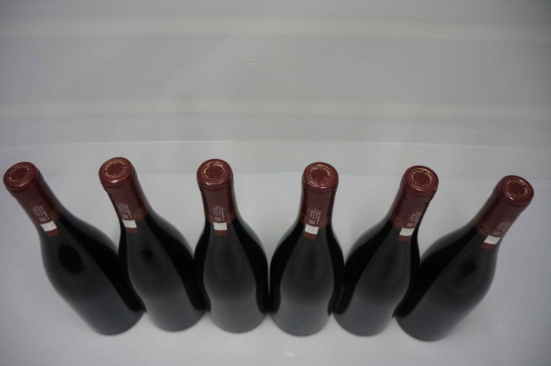 Perrot Minot Nuits St Georges La Richemone 1er Cru VV 2010
