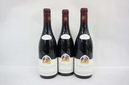 Georges Mugneret Chambolle Musigny Les Feusselottes 1er Cru 2014