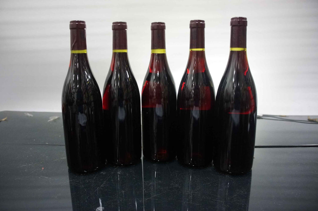 Lamy-Pillot Chassagne Montrachet Champs de Morgeot Rouge 1998 *