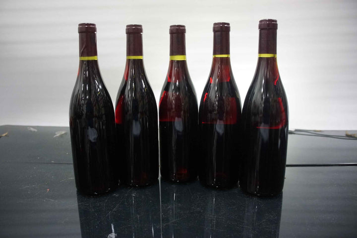 Lamy-Pillot Chassagne Montrachet Champs de Morgeot Rouge 1998 *
