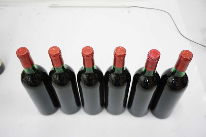 Petrus 1978