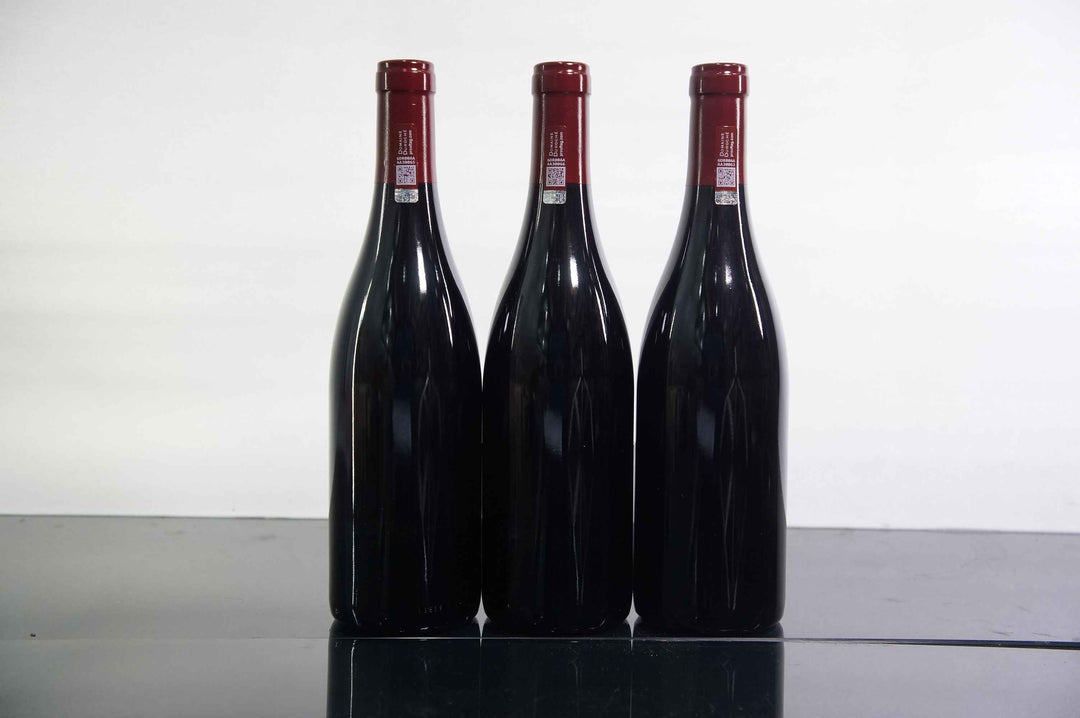 Duroche Gevrey Chambertin Lavaux Saint Jacques 1er Cru VV 2016