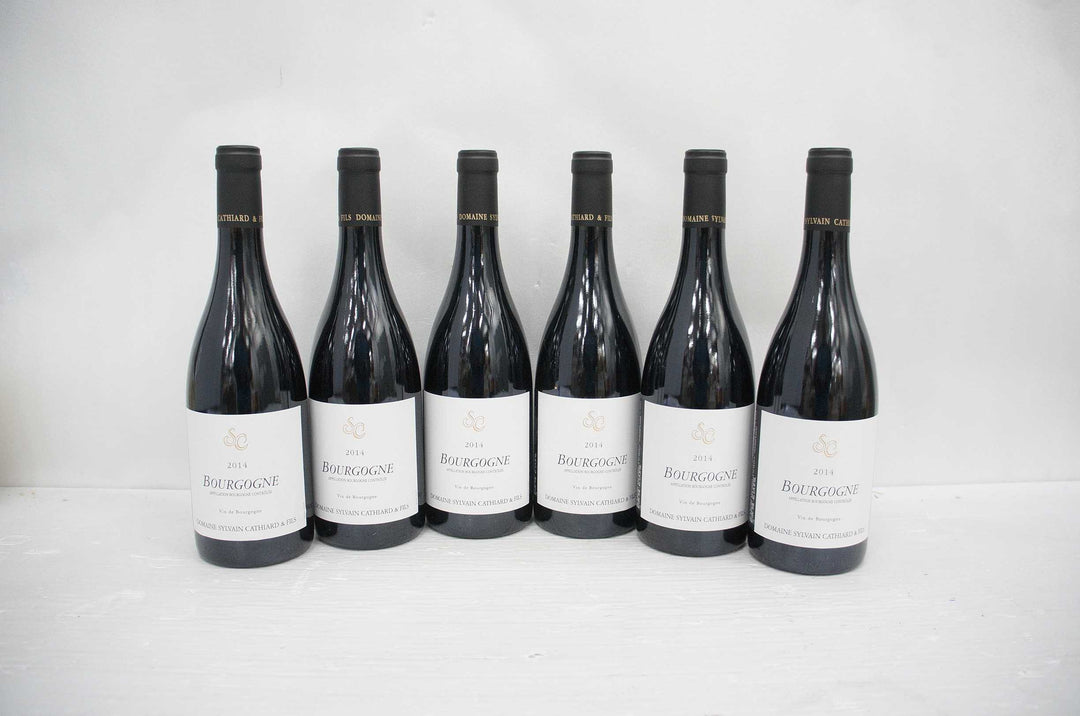Sylvain Cathiard Bourgogne Rouge 2014