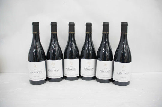 Sylvain Cathiard Bourgogne Rouge 2014