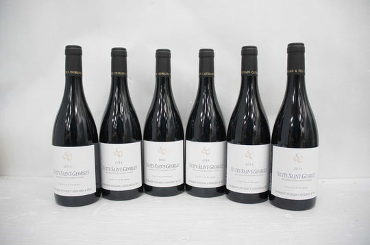 Sylvain Cathiard Nuits Saint Georges 2014
