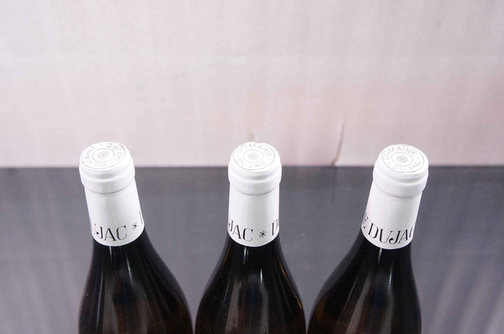 Dujac Morey Saint Denis Blanc 2012