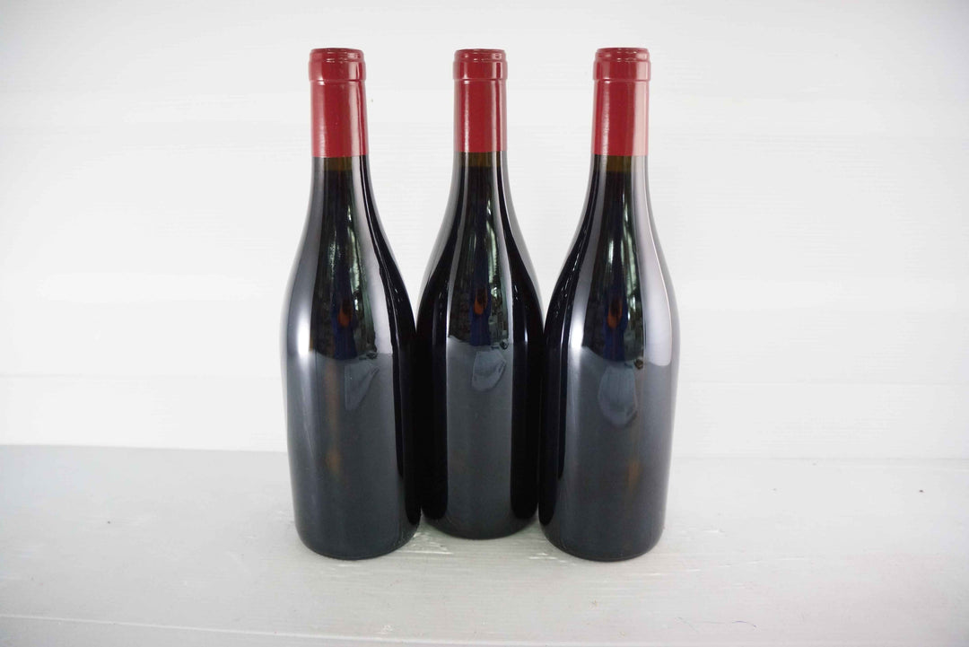 Georges Noellat Nuits St Georges Aux Boudots 1er Cru 2016