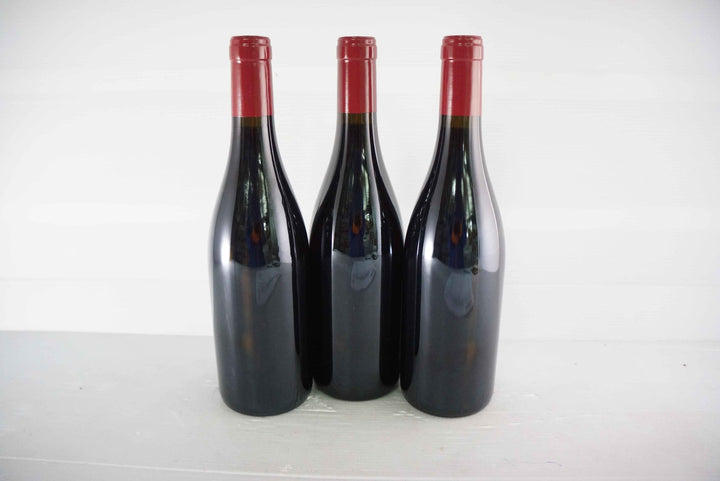 Georges Noellat Nuits St Georges Aux Boudots 1er Cru 2016