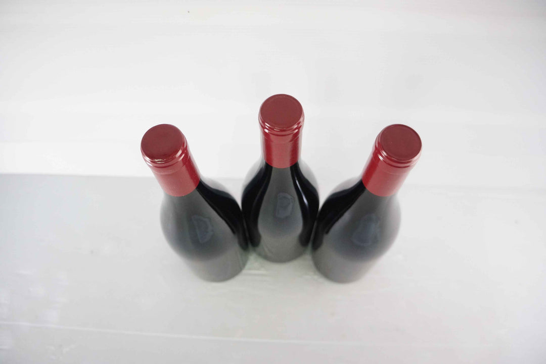Georges Noellat Nuits St Georges Aux Boudots 1er Cru 2016