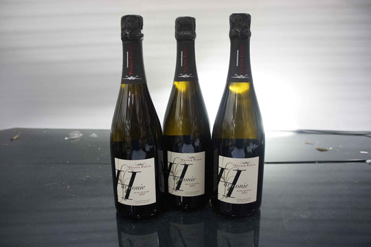 Franck Pascal Harmonie Blanc de Noirs Extra Brut 2010