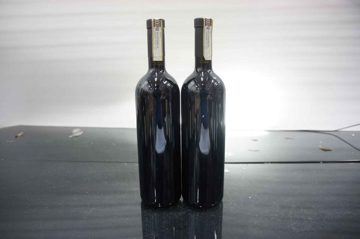 Paolo Scavino Bric del Fiasc Barolo 2010