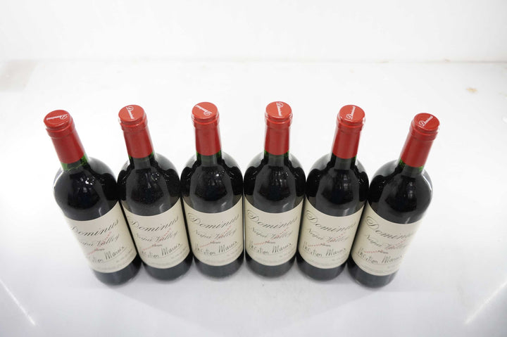 Dominus 1995
