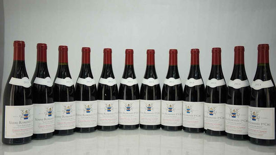 Domaine Machard de Gramont Vosne Romanee Les Gaudichots 1er Cru 2013
