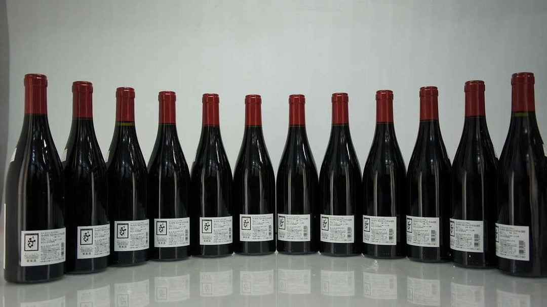 Domaine Machard de Gramont Vosne Romanee Les Gaudichots 1er Cru 2013