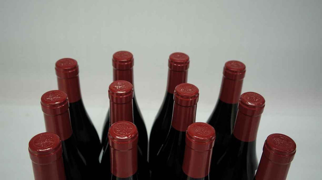 Domaine Machard de Gramont Vosne Romanee Les Gaudichots 1er Cru 2013