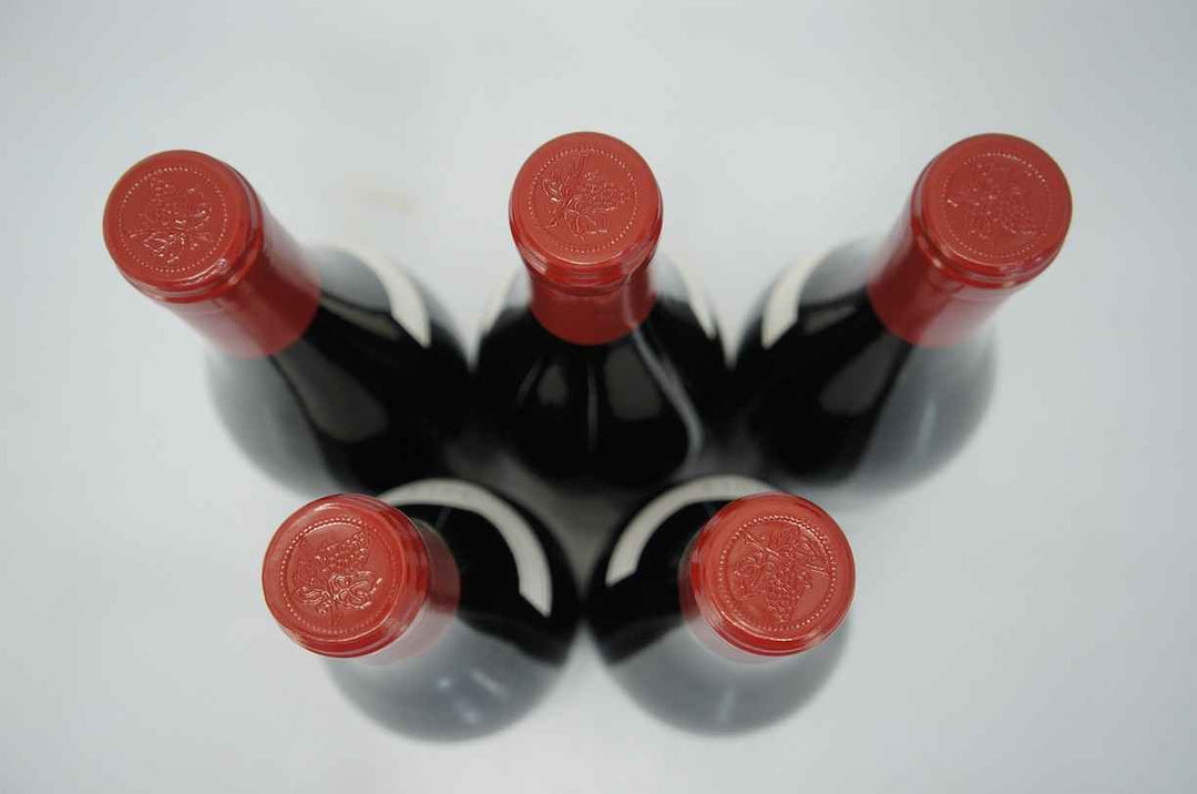 Domaine Machard de Gramont Vosne Romanee Les Gaudichots 1er Cru 2014