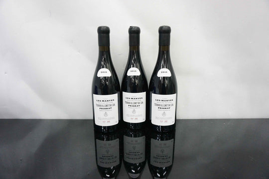 Terroir al Limit Les Manyes 2015