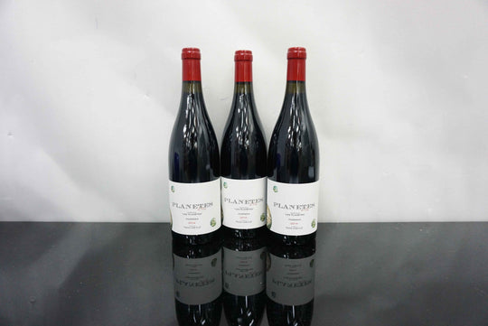 Nin Ortis Planetes de Nin 2014