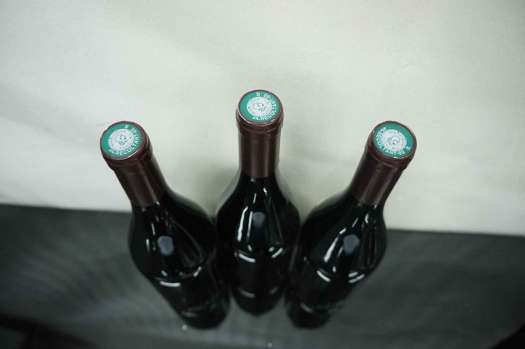 Clos Rougeard Saumur Champigny Le Clos 2006 *