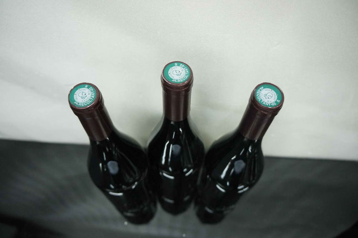 Clos Rougeard Saumur Champigny Le Clos 2006 *