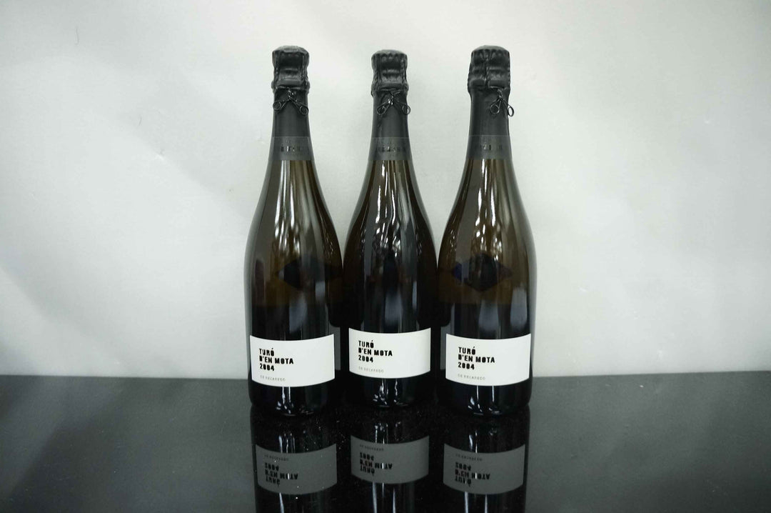 Recaredo Turo en Mota Cava 2004
