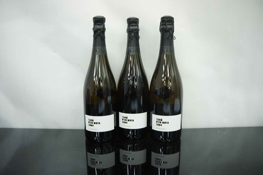 Recaredo Turo en Mota Cava 2004
