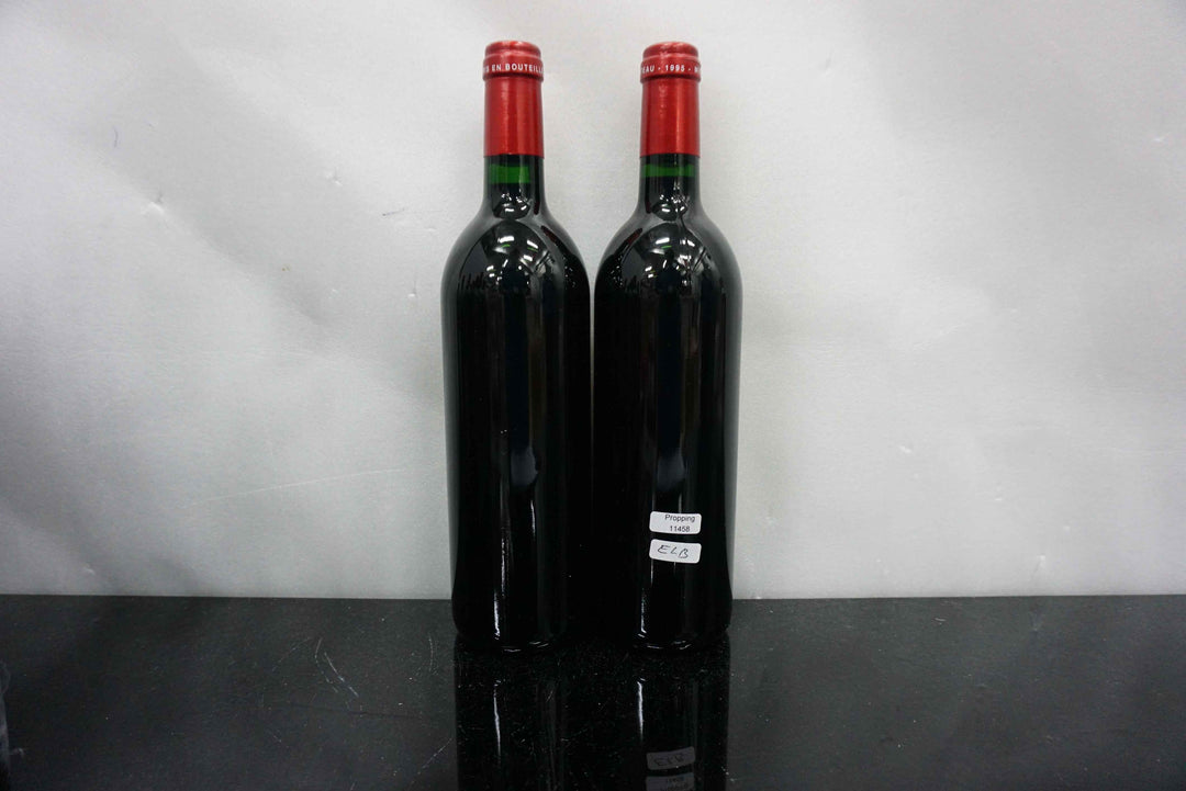 Petrus 1995 *