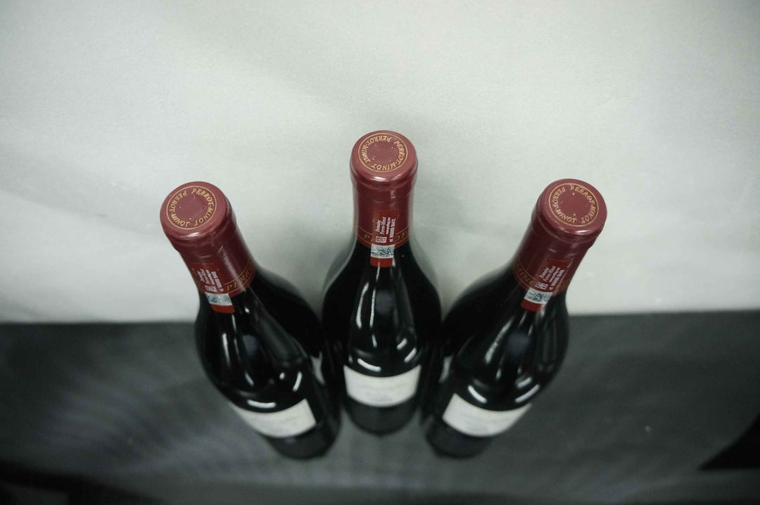 Perrot Minot Nuits St Georges La Richemone Cuvee Ultra VV 2009