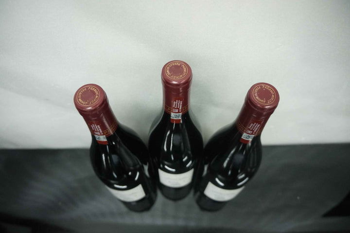 Perrot Minot Nuits St Georges La Richemone Cuvee Ultra VV 2009