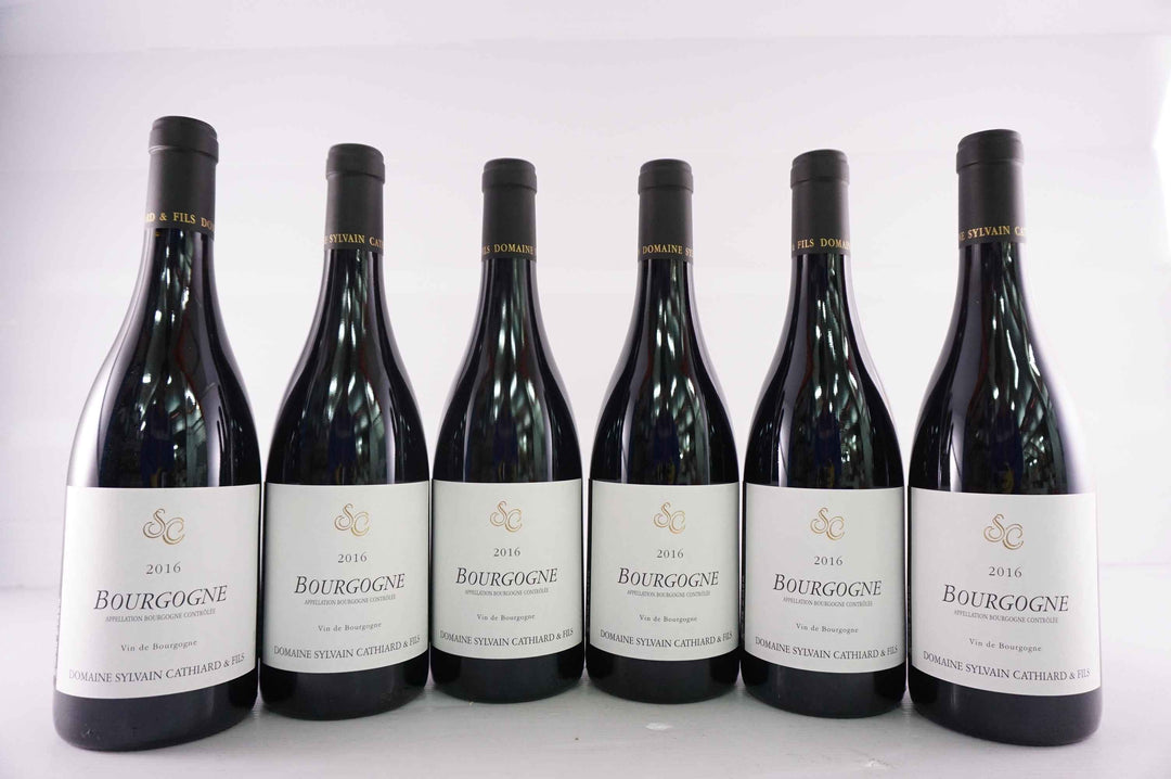 Sylvain Cathiard Bourgogne Rouge 2016