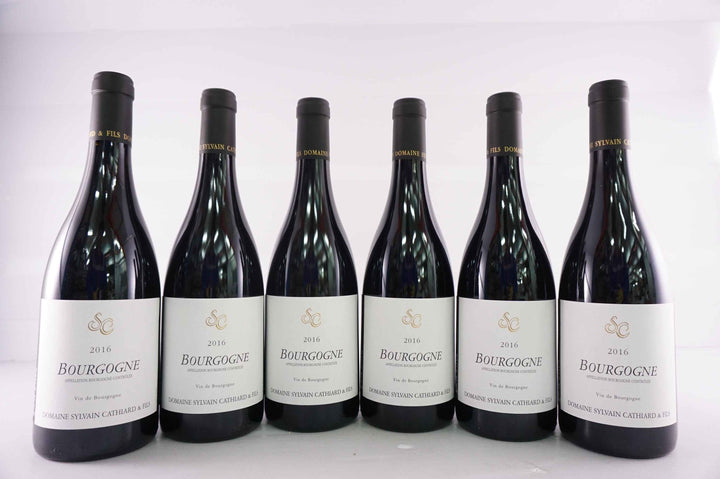 Sylvain Cathiard Bourgogne Rouge 2016