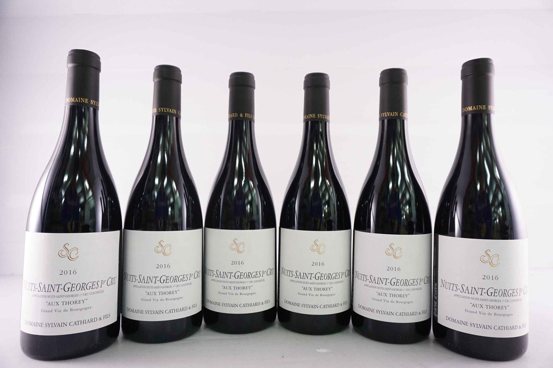 Sylvain Cathiard Nuits Saint Georges Aux Thorey 1er Cru 2016
