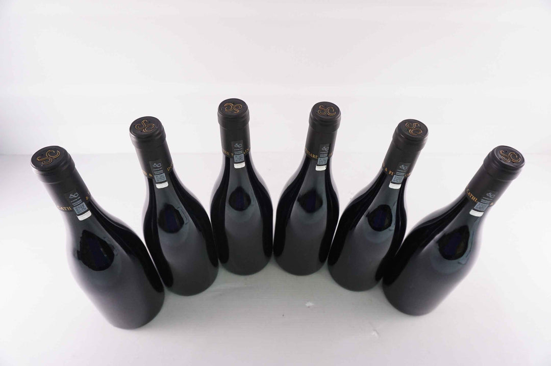 Sylvain Cathiard Nuits Saint Georges Aux Thorey 1er Cru 2016