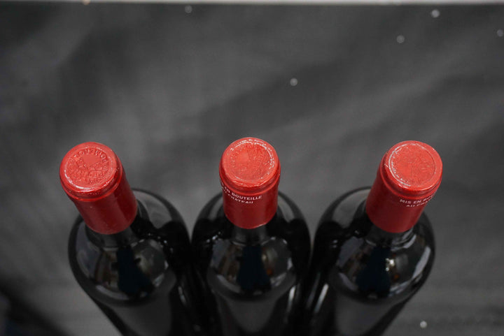 Petrus 1988