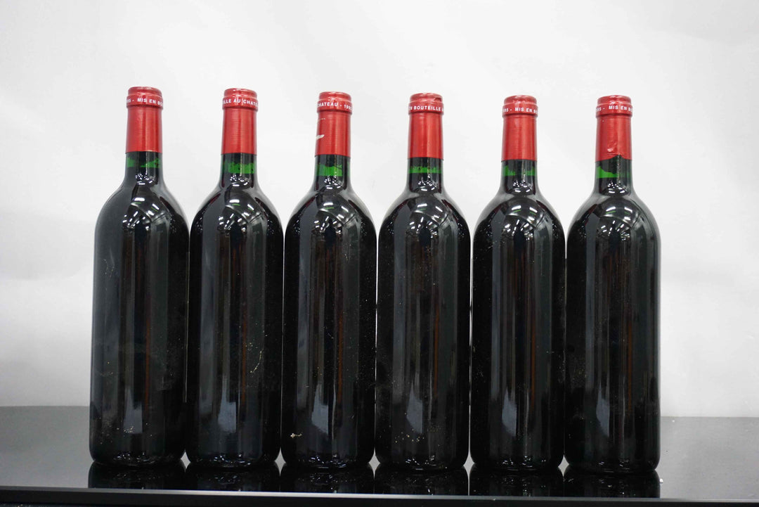 Petrus 1995