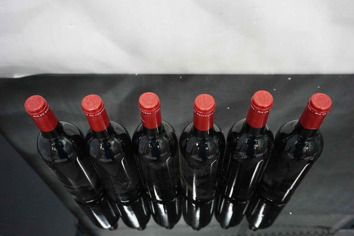 Petrus 1995