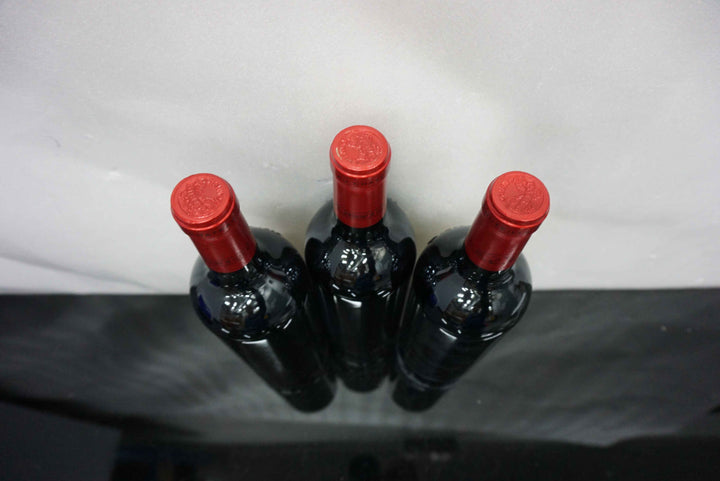 Petrus 2004