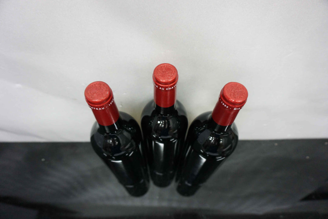 Petrus 1995 *
