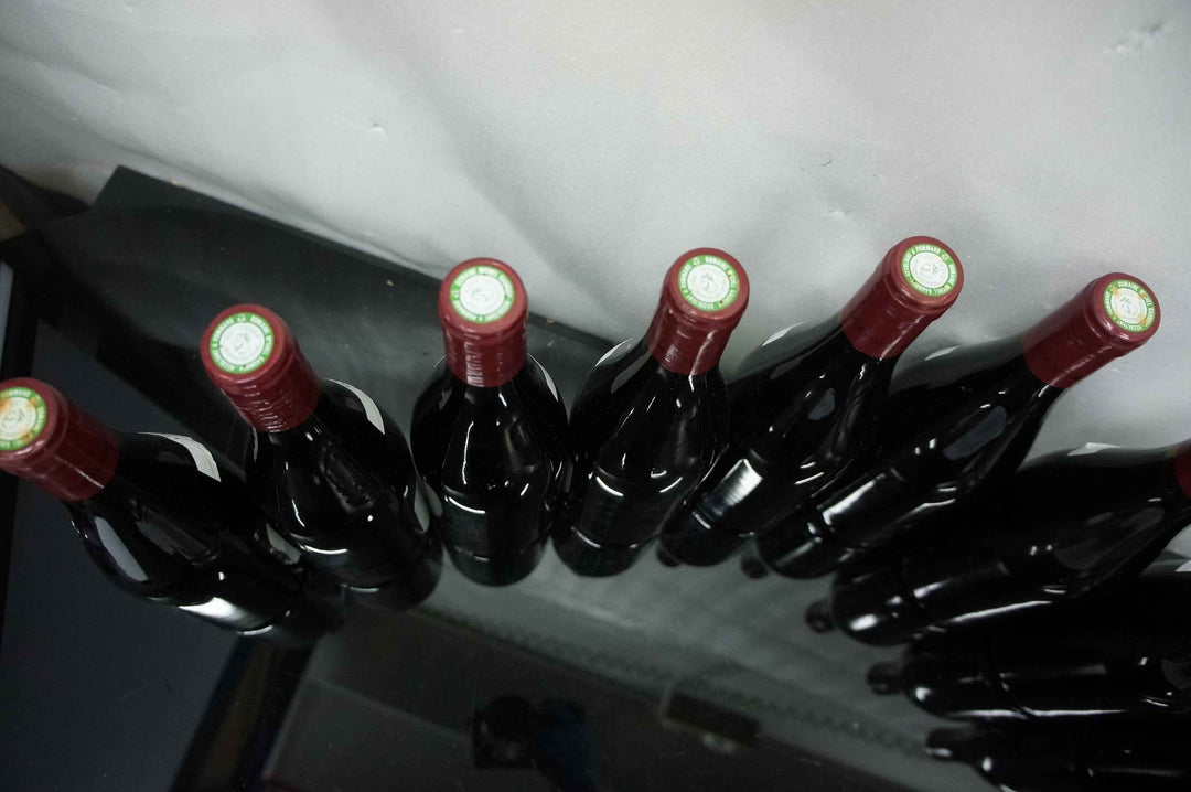 Michel Gaunoux Pommard Rugiens 1er Cru 1996 *