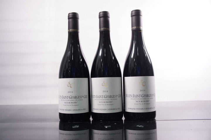 Sylvain Cathiard Nuits Saint Georges Aux Murgers 1er Cru 2014